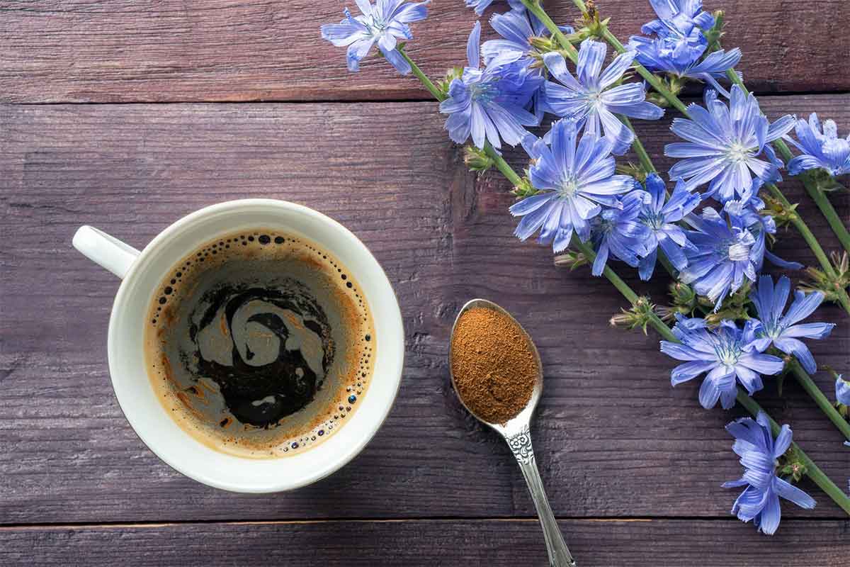 دانلود مقاله تغییر در رنگیزه های فتوسنتزی و فعالیت آنتی اکسیدانی