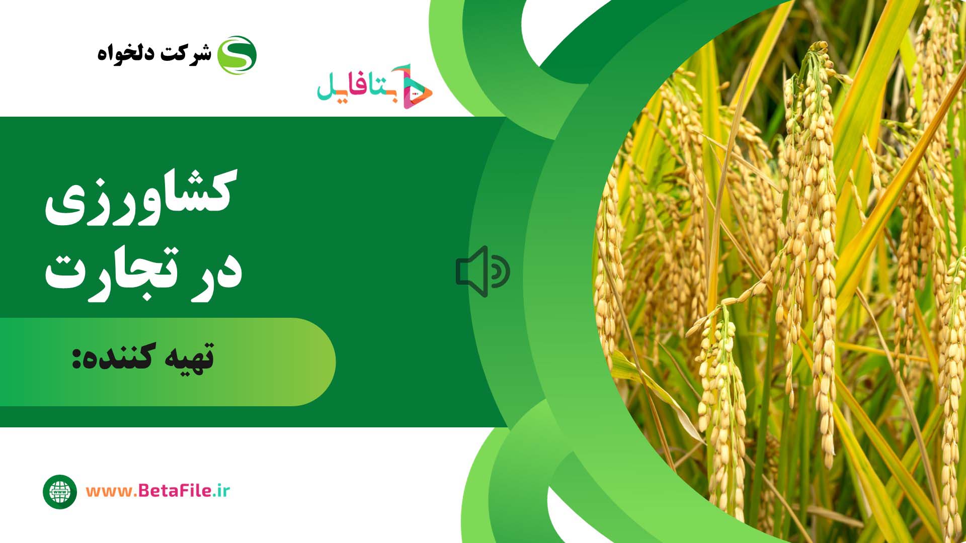دانلود قالب پاورپوینت مدرن 38
