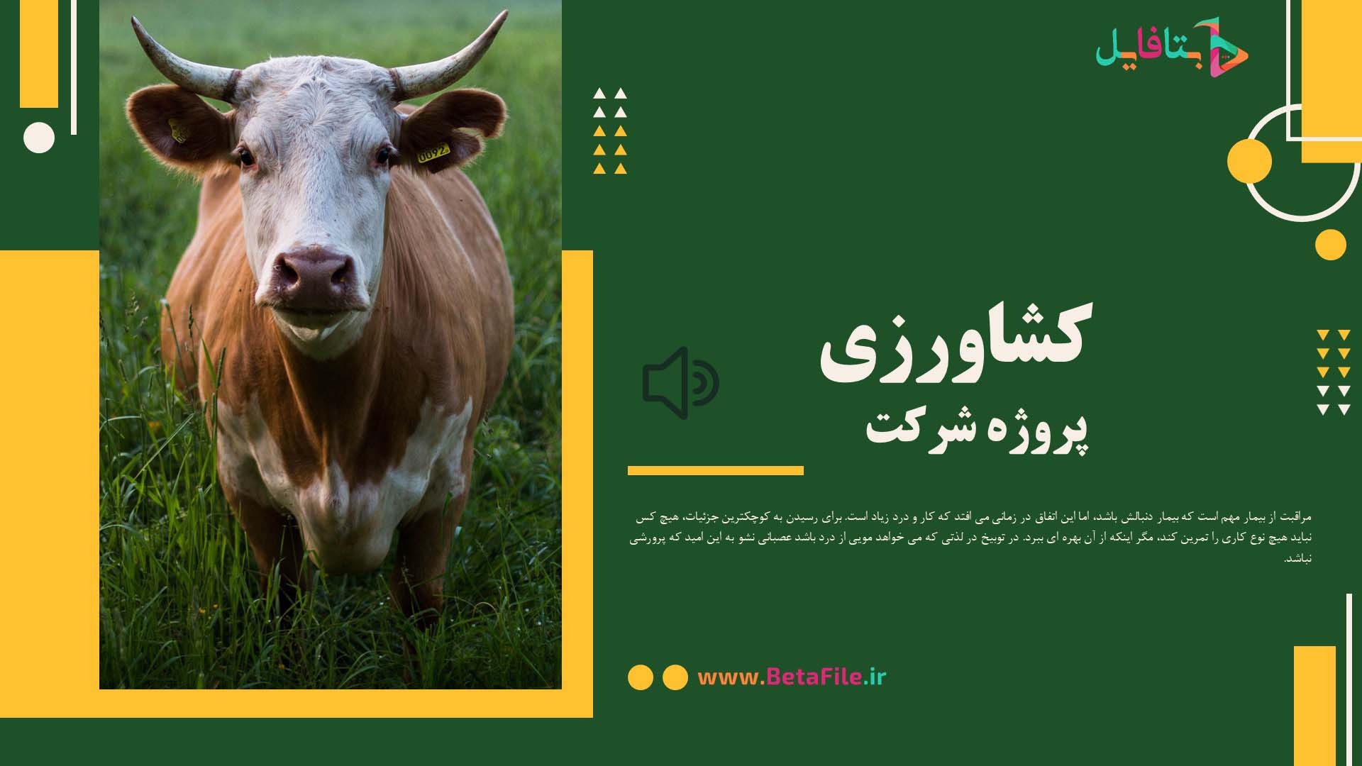 دانلود قالب پاورپوینت مدرن 13