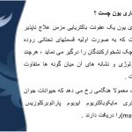 دانلود پاورپوینت بیماری یون (علوم دامی)