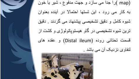 دانلود پاورپوینت بیماری یون (علوم دامی)
