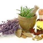 دانلود پاورپوینت چهل و شش گیاه دارویی استان فارس
