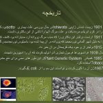 دانلود پاورپوینت Bacillus thuringiensis کنترل آفات و حشرات