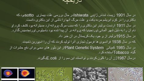 دانلود پاورپوینت Bacillus thuringiensis کنترل آفات و حشرات