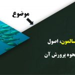دانلود پاورپوینت ماهی سالمون، اصول تکثیر و نحوه پرورش آن