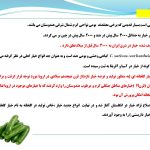دانلود پاورپوینت خیار گلخانه ای (کتابچه محصول باغبانی)