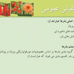 دانلود پاورپوینت باغبانی عمومی