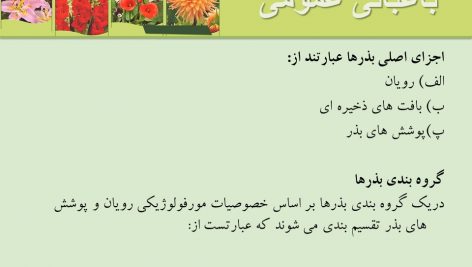 دانلود پاورپوینت باغبانی عمومی