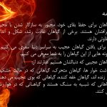 دانلود پاورپوینت گیاهان خارق العاده