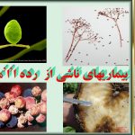 دانلود پاورپوینت بیماری های اوومیستها