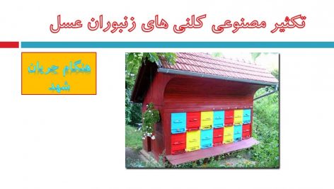 دانلود پاورپوینت نحوه تکثیر کلنی های زنبوران عسل