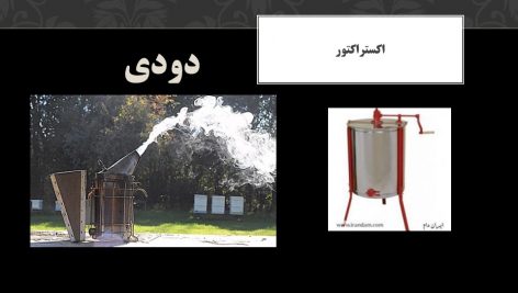 دانلود پاورپوینت زنبور عسل