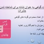 دانلود پاورپوینت مطالعه بر تعاملات شیمیایی اکولوژی حشرات و تولیدات گیاهی