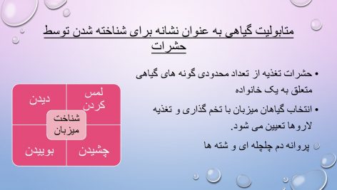 دانلود پاورپوینت مطالعه بر تعاملات شیمیایی اکولوژی حشرات و تولیدات گیاهی