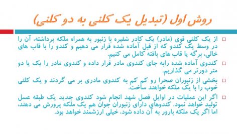 دانلود پاورپوینت نحوه تکثیر کلنی های زنبوران عسل