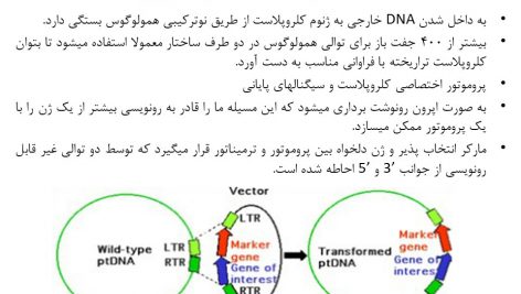 دانلود پاورپوینت مهندسی ژنتیک کلروپلاست