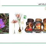 دانلود پاورپوینت آشنایی با ۲۶ گیاه دارویی مهم