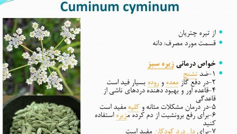 دانلود پاورپوینت کاربرد گیاهان دارویی
